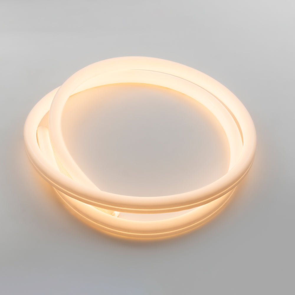 La Linea Outdoor Wall/Ceiling Light