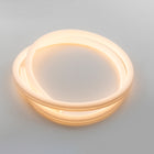La Linea Outdoor Wall/Ceiling Light