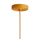 Indiana Pendant Light