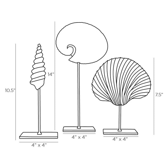 Shell Sculpture (Set of 3)