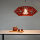 V Pendant Light
