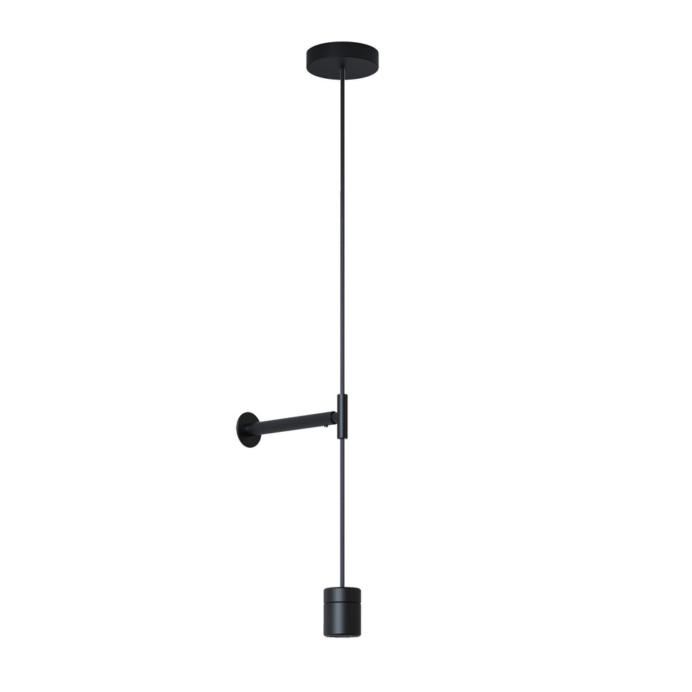 Curve Pendant Light