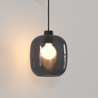 Curve Pendant Light