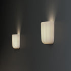 Veo Wall Sconce