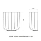 Veo Wall Sconce