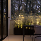 Float Floor Lamp