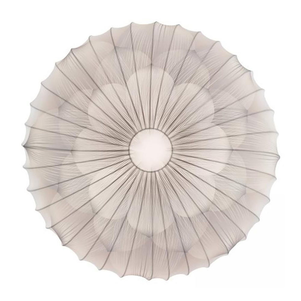 Muse Wall/Ceiling Light
