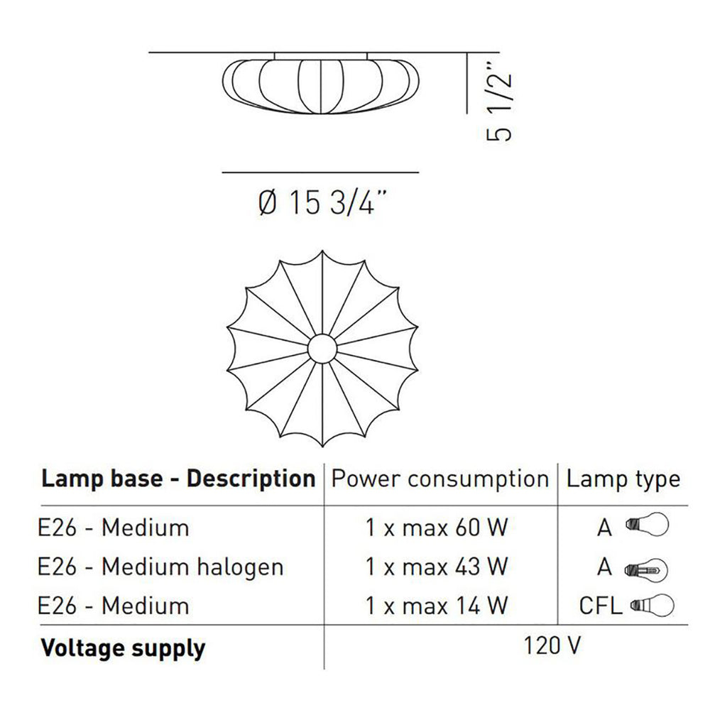 Muse Wall/Ceiling Light
