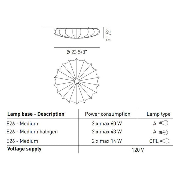 Muse Wall/Ceiling Light