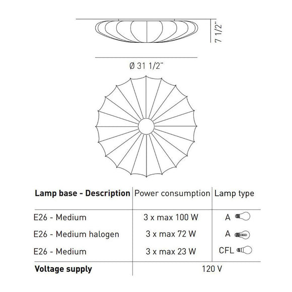 Muse Wall/Ceiling Light