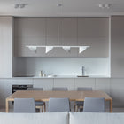 Orchid Linear Pendant Light