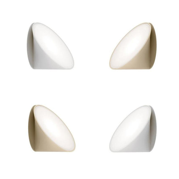 Orchid Wall/Ceiling Light