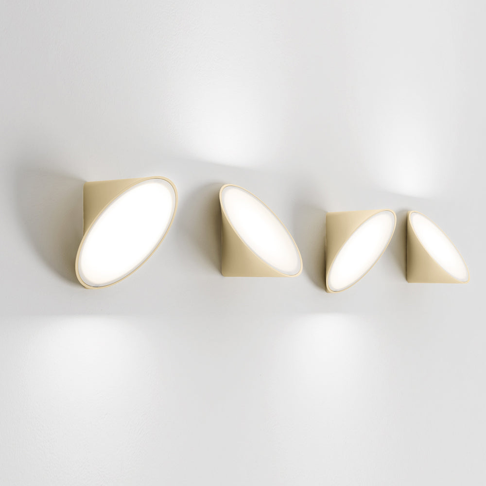 Orchid Wall/Ceiling Light