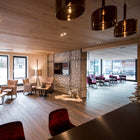 Spillray Pendant Light