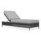 Catalina Lounge Chair  option Ash / Fog