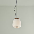 Misko Pendant Light