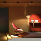 Overlay Pendant Light