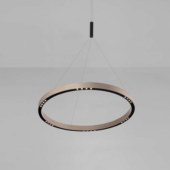 R2 LED Pendant Light