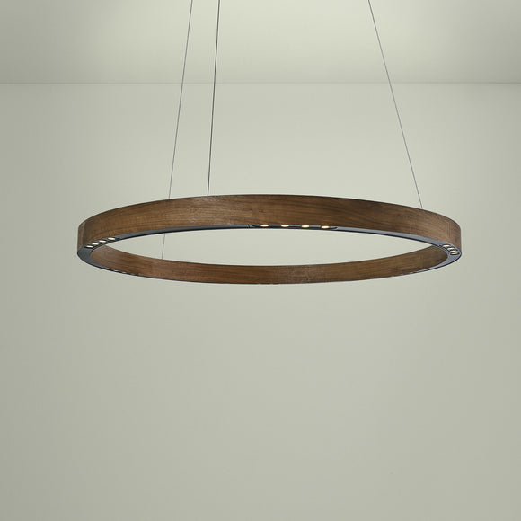 R2 LED Pendant Light