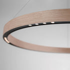 R2 LED Pendant Light