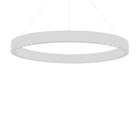 R2 LED Pendant Light