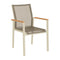 Aura Armchair  option Champagne 04 Frame / Titanium 502 Sling