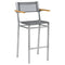 Equinox Stool with Armrests  option Platinum 504