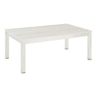 Equinox Painted Low Coffee Table