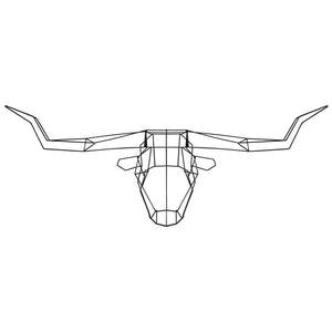 Longhorn Wall Décor