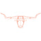 Longhorn Wall Décor  option Orange