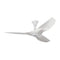 Haiku Outdoor Low Profile Ceiling Fan  option White with Driftwood Blades