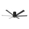 I6 Direct Mount Ceiling Fan  option Black