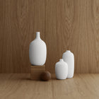 Ceola Vase (Set of 2)