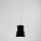Bloom Suspension Light