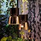 Bloom Suspension Light