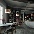 Bloom Suspension Light