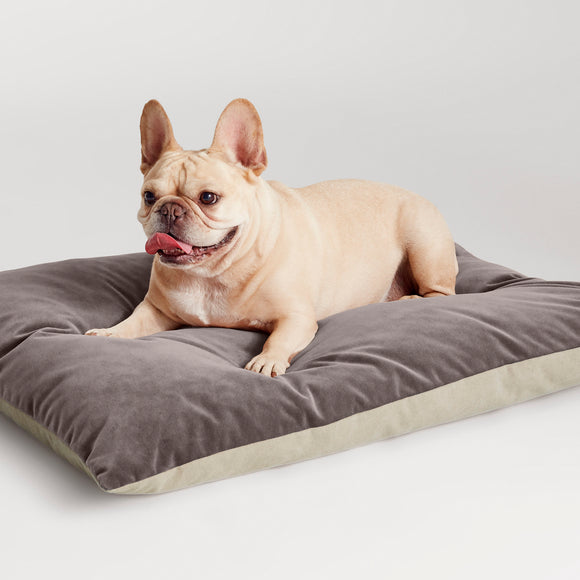 Signal Dog Bed