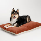 Signal Dog Bed