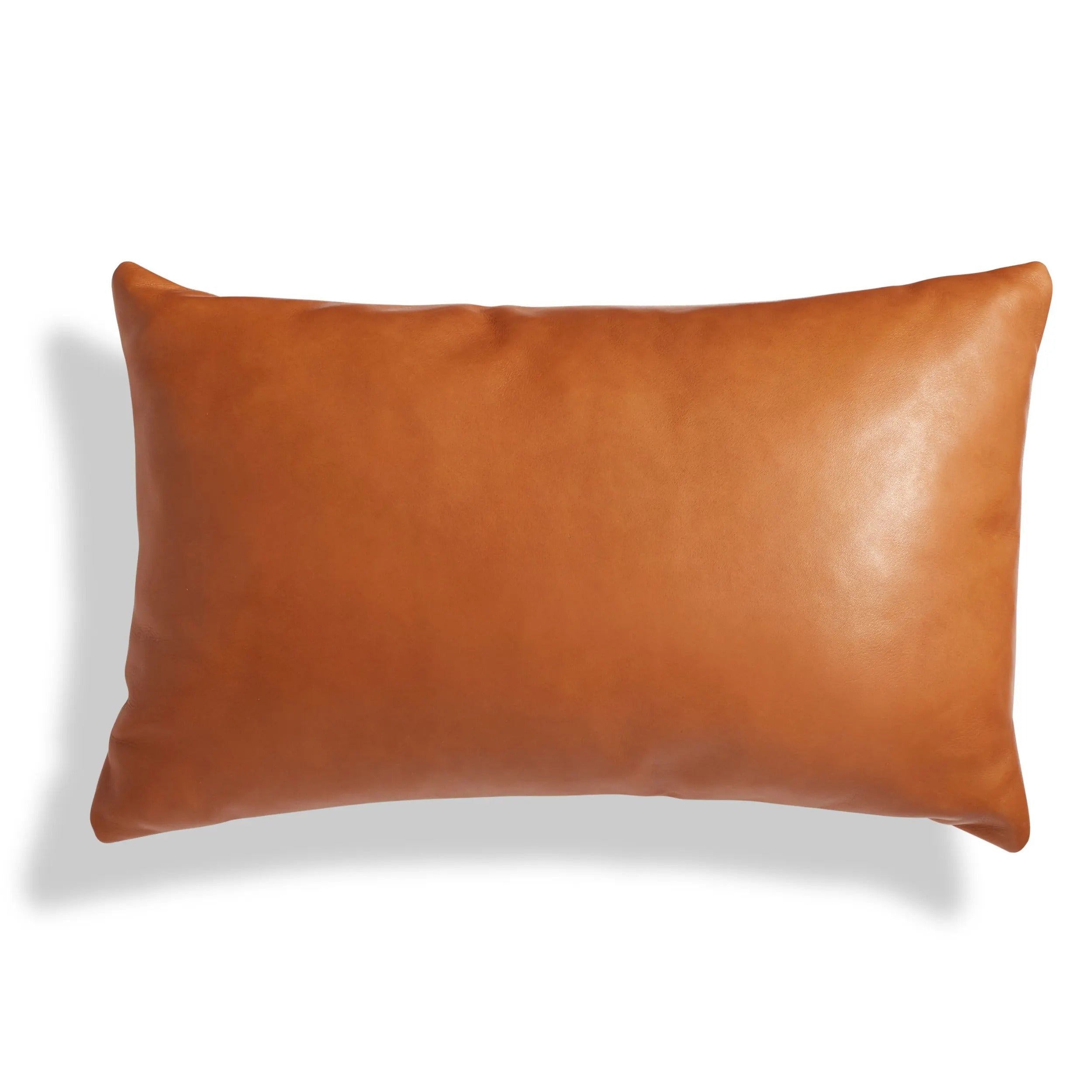 https://www.2modern.com/cdn/shop/products/blu-dot-signal-lumbar-pillow-color-terracotta-leather_2500x.jpg?v=1682580199