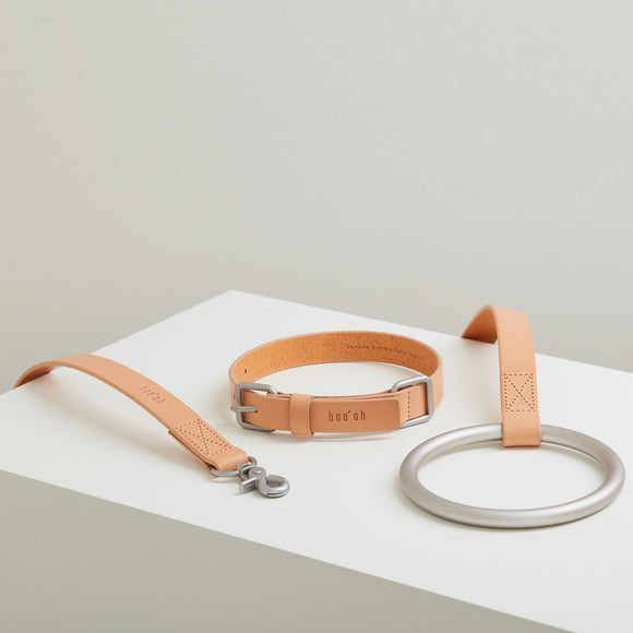 Lumi Leash and Collar Set