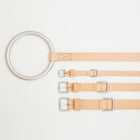 Lumi Leash and Collar Set