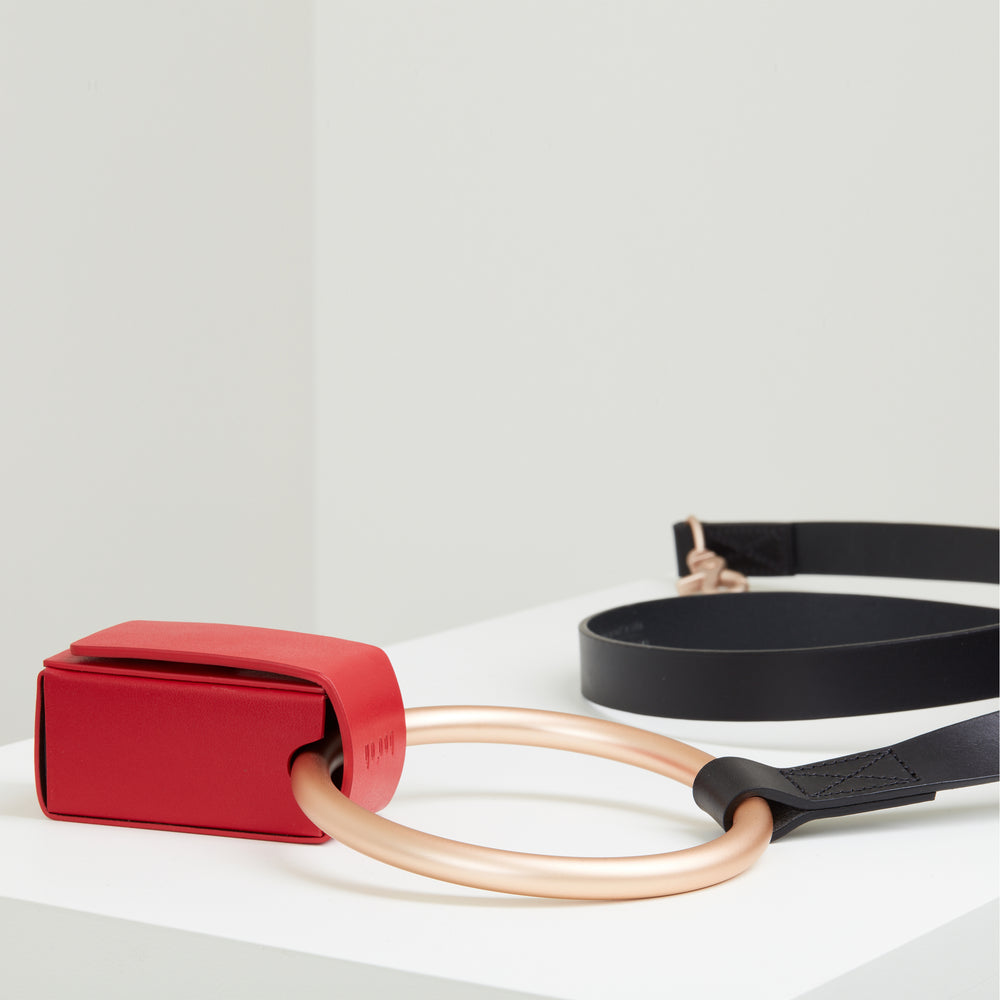 Lumi Leash and Collar Set