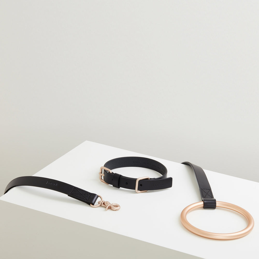 Lumi Leash and Collar Set