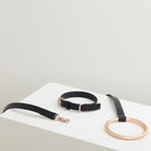 Lumi Leash and Collar Set