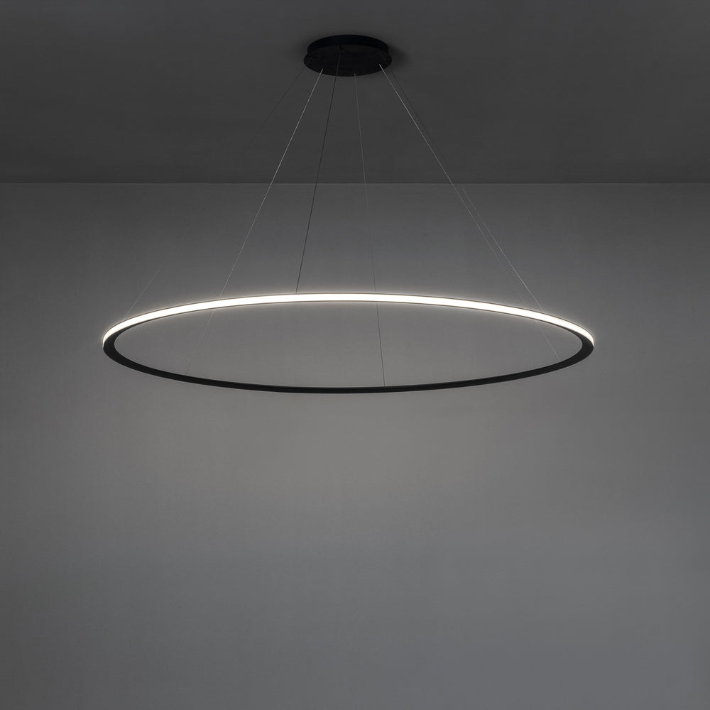 Circular One Ring Pendant Light