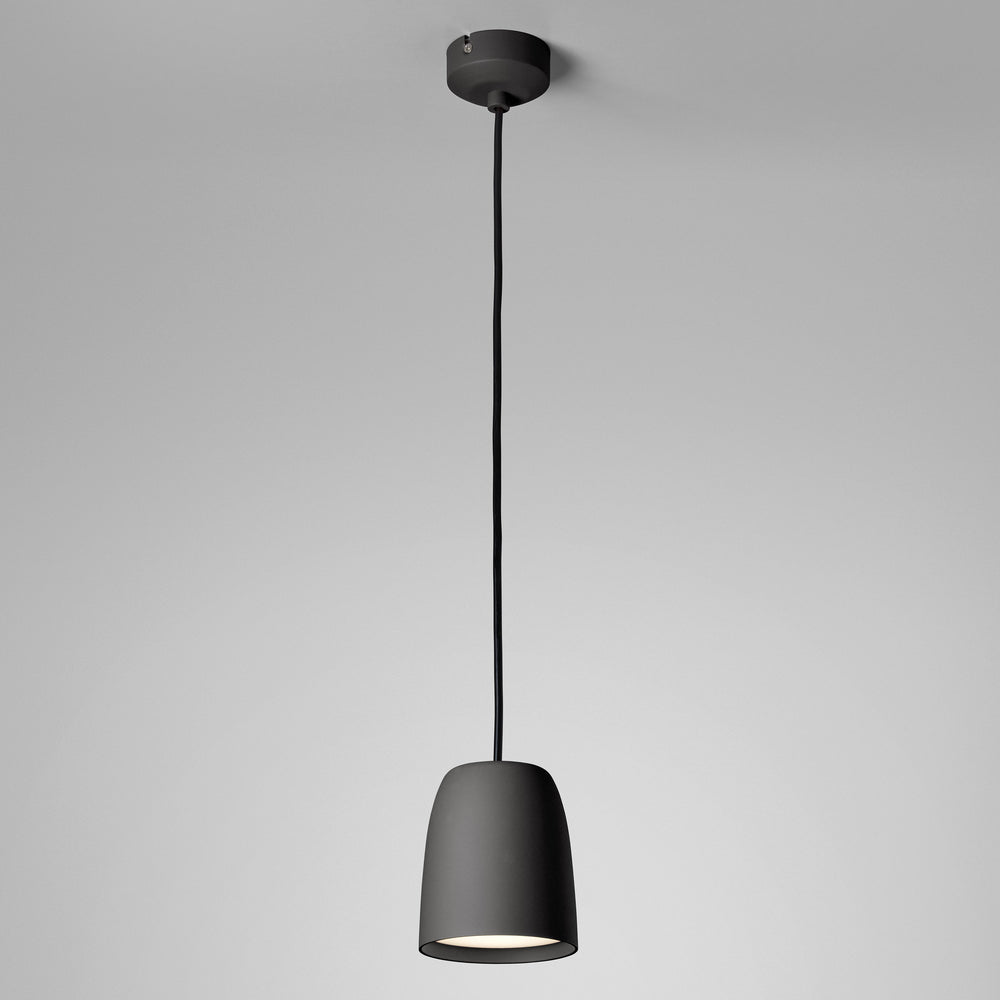 Nut Pendant Light
