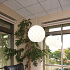 Sirena LED Pendant Light
