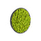 BuzziMood Moss Wall Panel  option Round