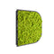 BuzziMood Moss Wall Panel  option Square