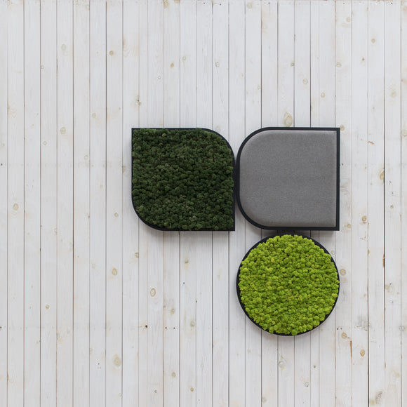 BuzziMood Moss Wall Panel